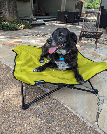 Accessories Body Glove Fold & Go Pet Cot